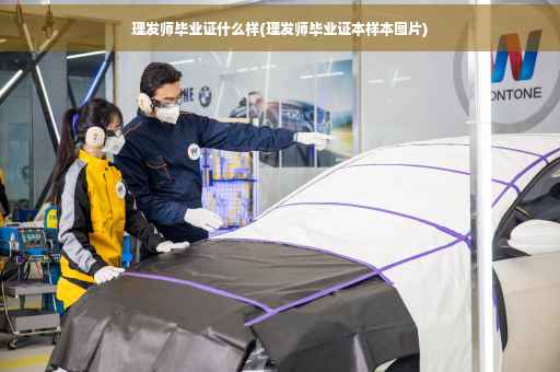 理发师毕业证什么样(理发师毕业证本样本图片)