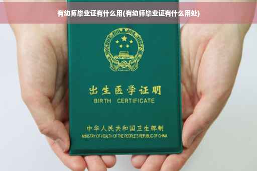 有幼师毕业证有什么用(有幼师毕业证有什么用处)