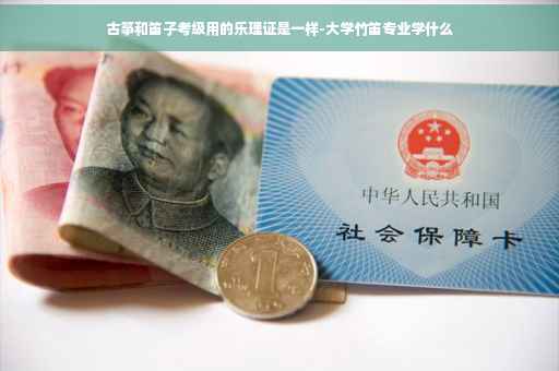 古筝和笛子考级用的乐理证是一样-大学竹笛专业学什么