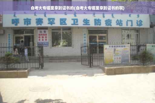 自考大专哪里拿到证书的(自考大专哪里拿到证书的啊)