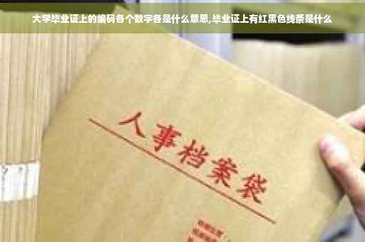 大学毕业证上的编码各个数字各是什么意思,毕业证上有红黑色线条是什么