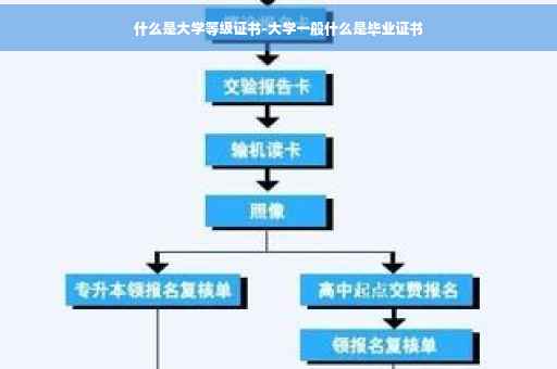 什么是大学等级证书-大学一般什么是毕业证书