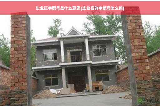 毕业证字第号是什么意思(毕业证的字第号怎么填)