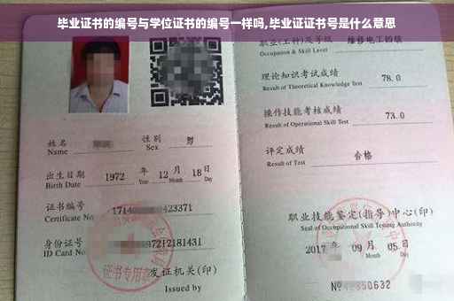 毕业证书的编号与学位证书的编号一样吗,毕业证证书号是什么意思