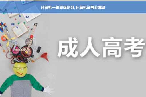 计算机一级等级划分,计算机证书分哪些