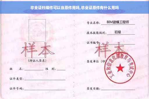 毕业证扫描件可以当原件用吗,毕业证原件有什么用吗