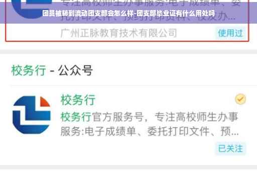 团员被转到流动团支部会怎么样-团支部毕业证有什么用处吗