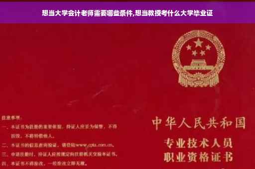 想当大学会计老师需要哪些条件,想当教授考什么大学毕业证