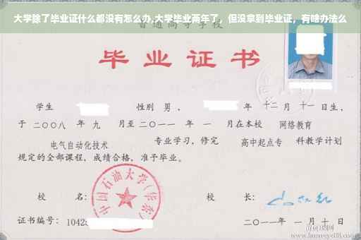 大学除了毕业证什么都没有怎么办,大学毕业两年了，但没拿到毕业证，有啥办法么