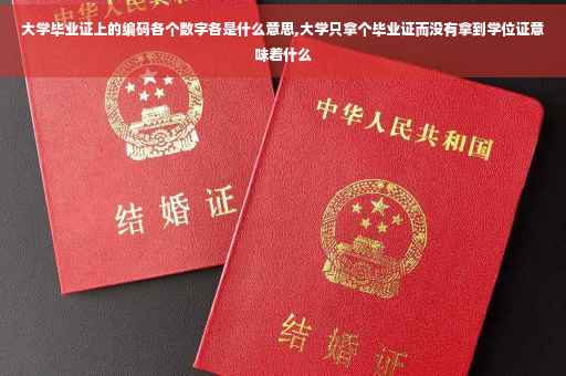 大学毕业证上的编码各个数字各是什么意思,大学只拿个毕业证而没有拿到学位证意味着什么