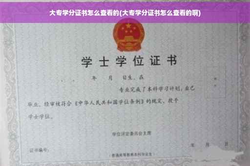 大专学分证书怎么查看的(大专学分证书怎么查看的啊)