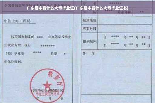 广东插本要什么大专毕业证(广东插本要什么大专毕业证书)