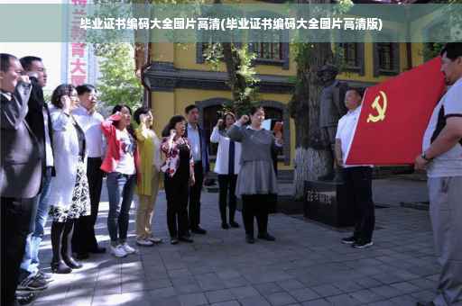 毕业证书编码大全图片高清(毕业证书编码大全图片高清版)