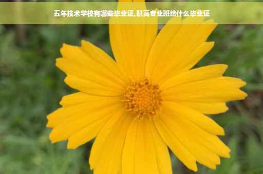 五年技术学校有哪些毕业证,职高专业班给什么毕业证