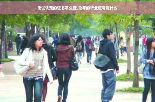 免试认定的证书怎么查,免考的毕业证号是什么