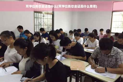 双学位类毕业证是什么(双学位类毕业证是什么意思)