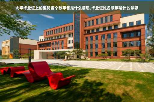 大学毕业证上的编码各个数字各是什么意思,毕业证姓名顺序是什么意思