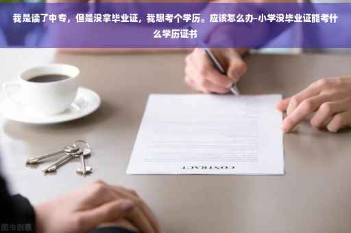 我是读了中专，但是没拿毕业证，我想考个学历。应该怎么办-小学没毕业证能考什么学历证书