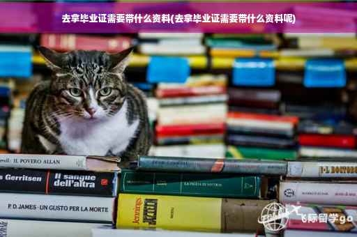 去拿毕业证需要带什么资料(去拿毕业证需要带什么资料呢)
