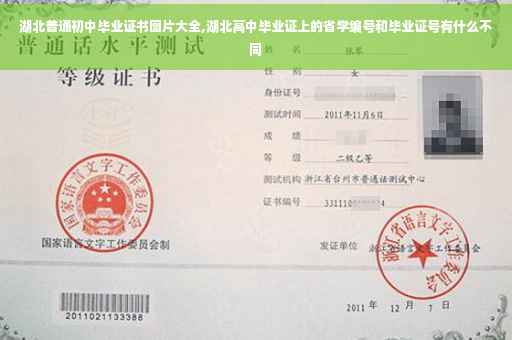 湖北普通初中毕业证书图片大全,湖北高中毕业证上的省学编号和毕业证号有什么不同
