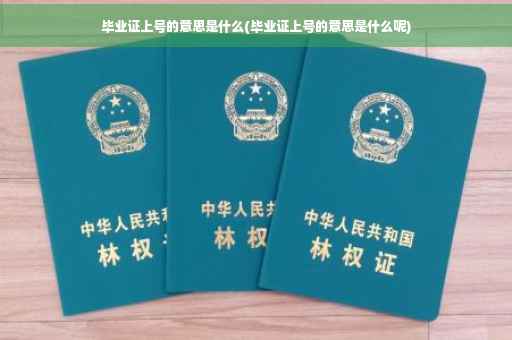 毕业证上号的意思是什么(毕业证上号的意思是什么呢)