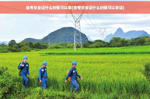 自考毕业证什么时候可以拿(自考毕业证什么时候可以拿证)