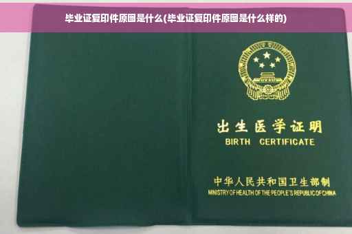 毕业证复印件原图是什么(毕业证复印件原图是什么样的)