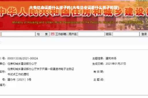 大专毕业证都什么样子的(大专毕业证都什么样子的啊)