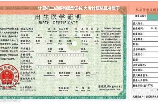 计算机二级都有哪些证书,大专计算机证书属于