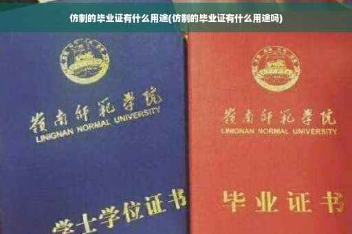 仿制的毕业证有什么用途(仿制的毕业证有什么用途吗)