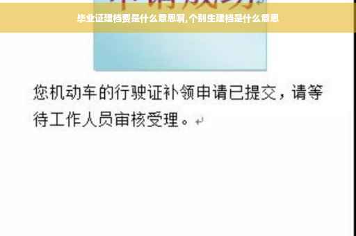 毕业证建档费是什么意思啊,个别生建档是什么意思