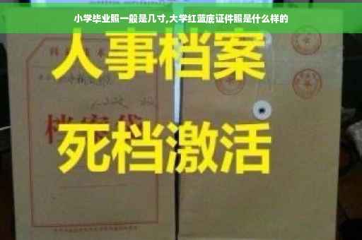 小学毕业照一般是几寸,大学红蓝底证件照是什么样的