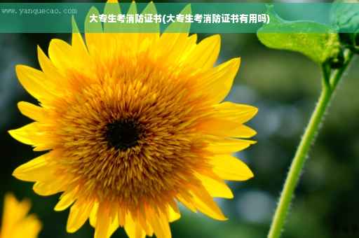 大专生考消防证书(大专生考消防证书有用吗)