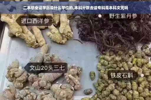 二本毕业证学历是什么学位的,本科分数去读专科是本科文凭吗