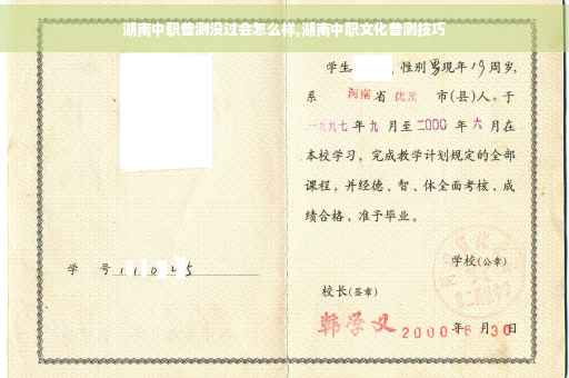 湖南中职普测没过会怎么样,湖南中职文化普测技巧
