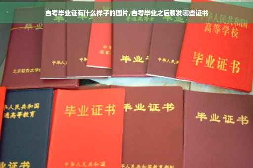 自考毕业证有什么样子的图片,自考毕业之后颁发哪些证书