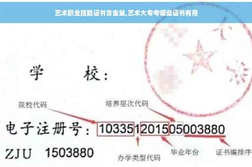 艺术职业技能证书含金量,艺术大专考哪些证书有用