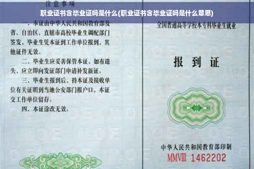 职业证书含毕业证吗是什么(职业证书含毕业证吗是什么意思)