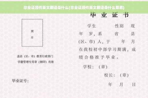 毕业证原件英文翻译是什么(毕业证原件英文翻译是什么意思)