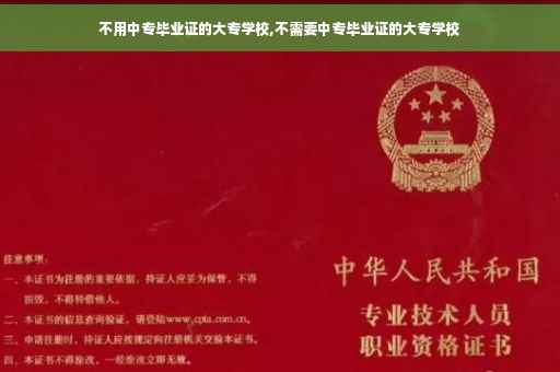 不用中专毕业证的大专学校,不需要中专毕业证的大专学校