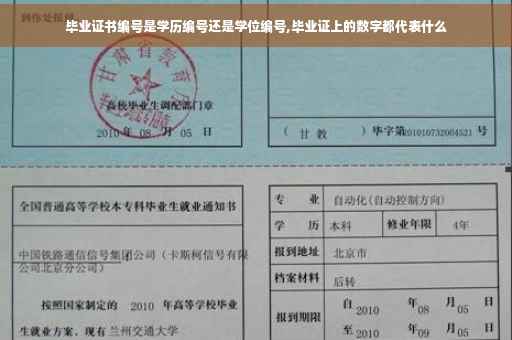 毕业证书编号是学历编号还是学位编号,毕业证上的数字都代表什么