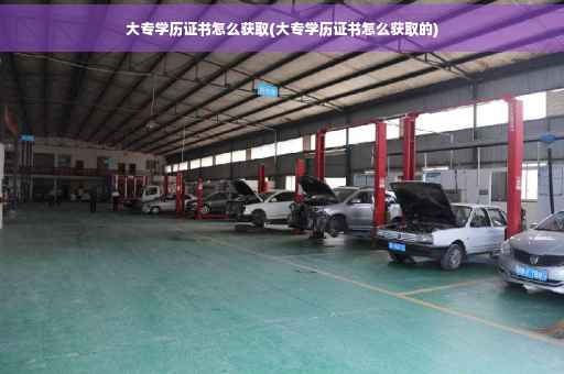 大专学历证书怎么获取(大专学历证书怎么获取的)