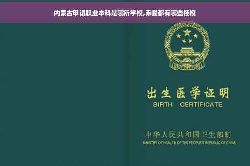 内蒙古申请职业本科是哪所学校,赤峰都有哪些技校