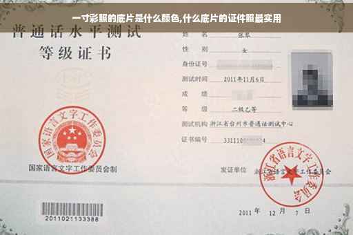 一寸彩照的底片是什么颜色,什么底片的证件照最实用
