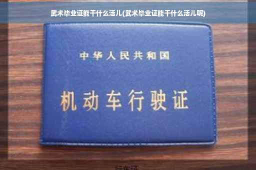 武术毕业证能干什么活儿(武术毕业证能干什么活儿呢)
