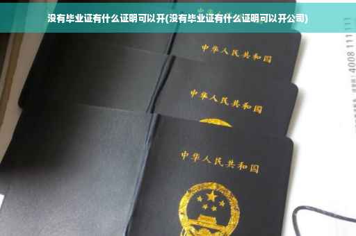 没有毕业证有什么证明可以开(没有毕业证有什么证明可以开公司)