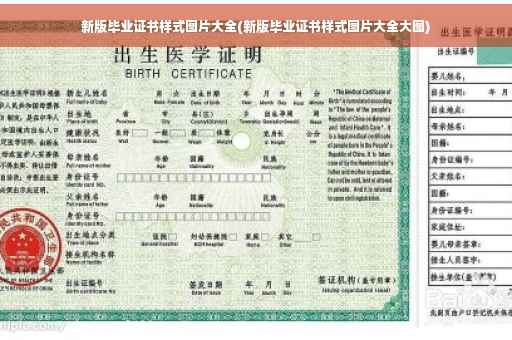 新版毕业证书样式图片大全(新版毕业证书样式图片大全大图)