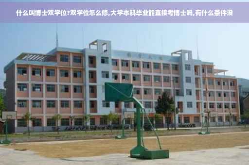 什么叫博士双学位?双学位怎么修,大学本科毕业能直接考博士吗,有什么条件没