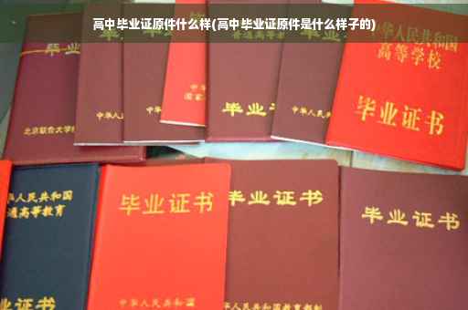 高中毕业证原件什么样(高中毕业证原件是什么样子的)