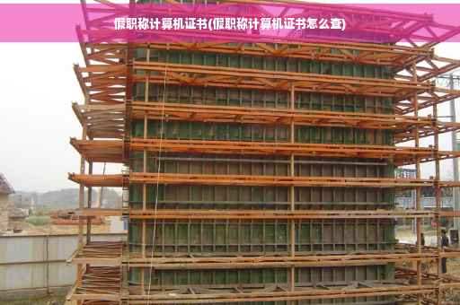 假职称计算机证书(假职称计算机证书怎么查)